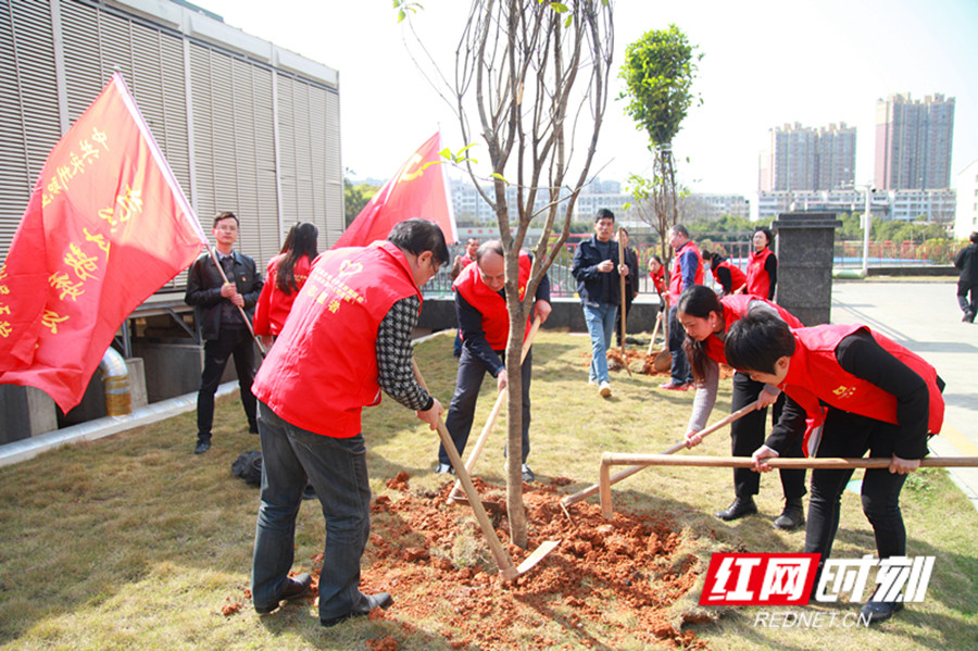 [红网]永州职院附属医院开展“履行植树义务 共建美丽潇湘”主题党日活动